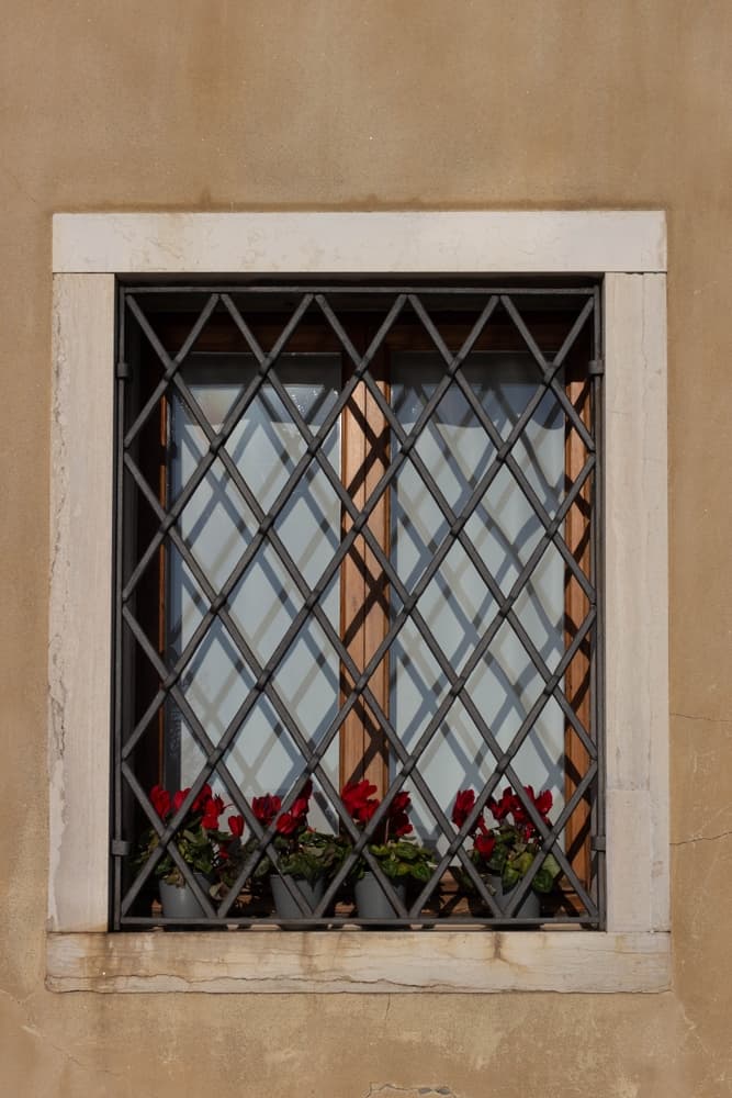 shutterstock_2415498685-1