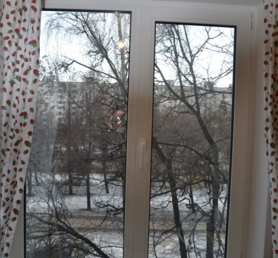Установка окон на кухне и в гостиной - 2 Установка окон на кухне и в гостиной - фото - 2